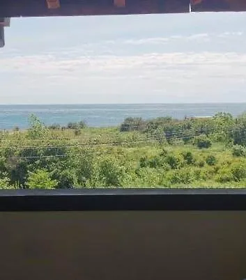 Plamena Konukevi